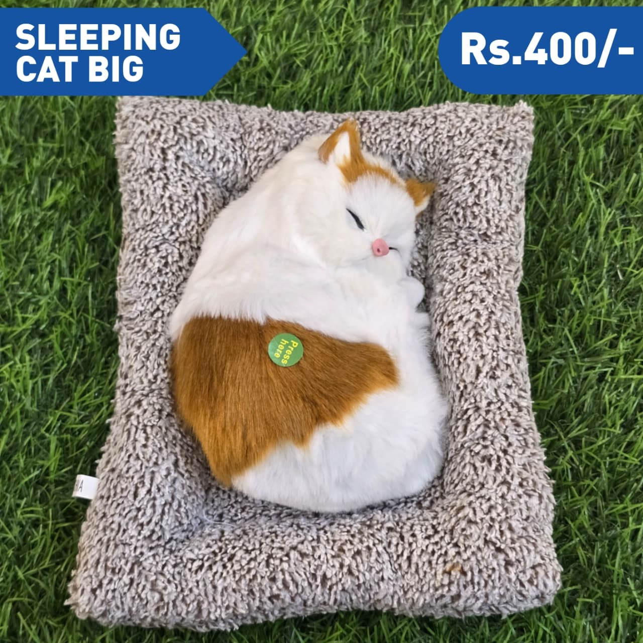 SLEEPING CAT BIG M2