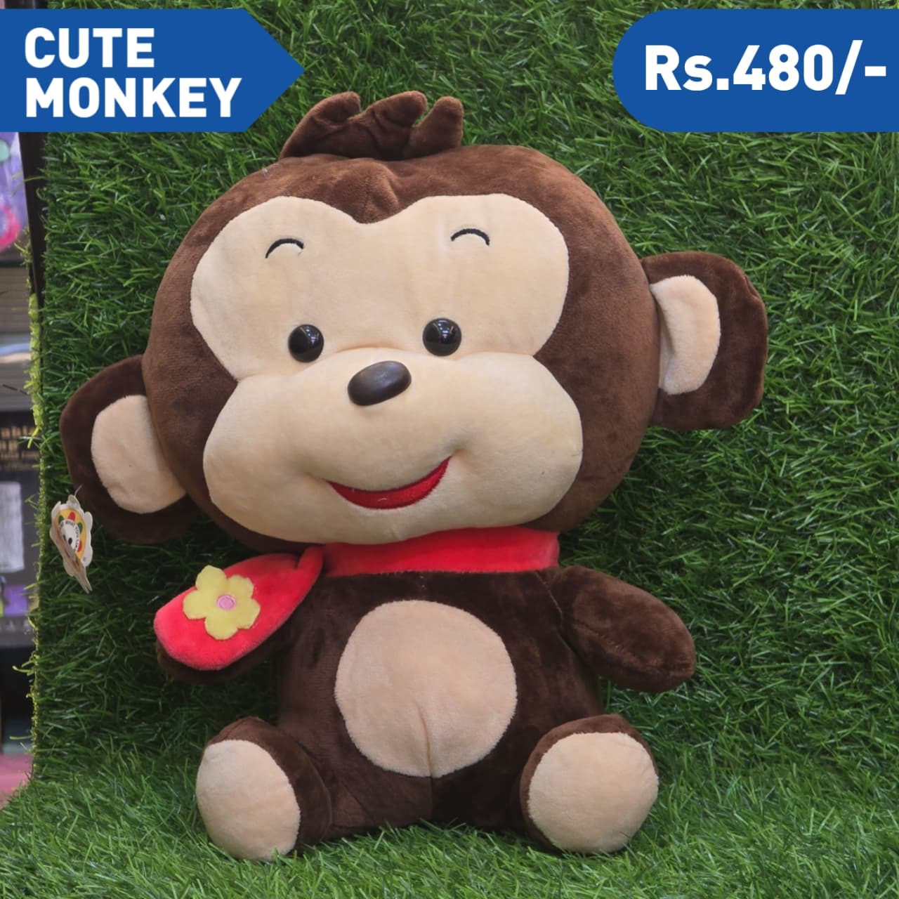 CUTE   MONKEY