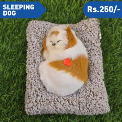 SLEEPING DOG M1