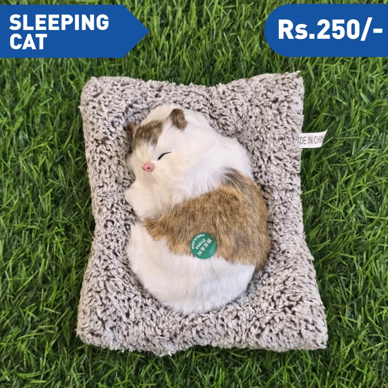 SLEEPING CAT M6