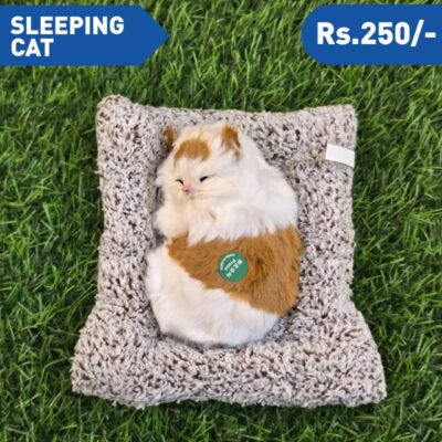 SLEEPING CAT M3