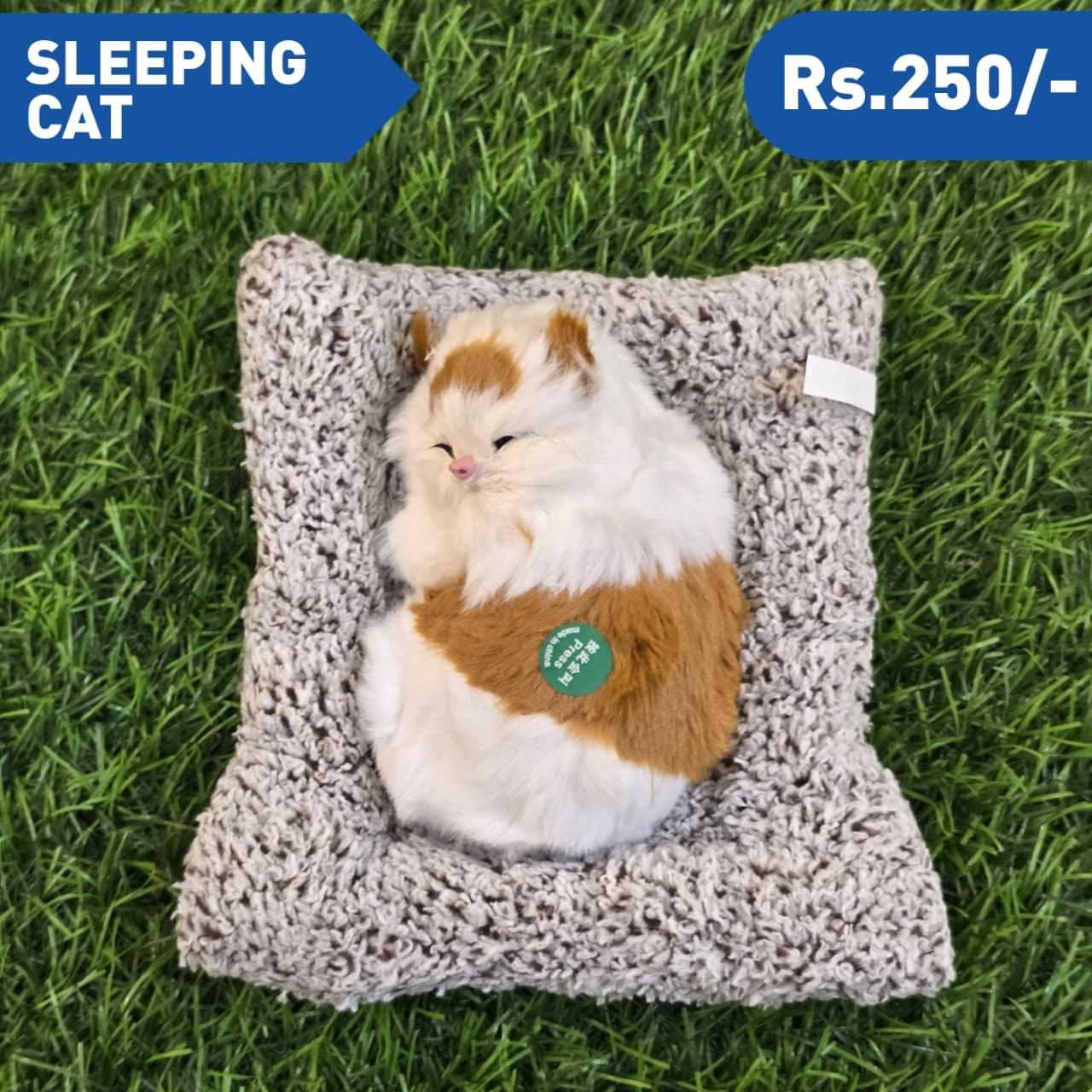 SLEEPING CAT M3