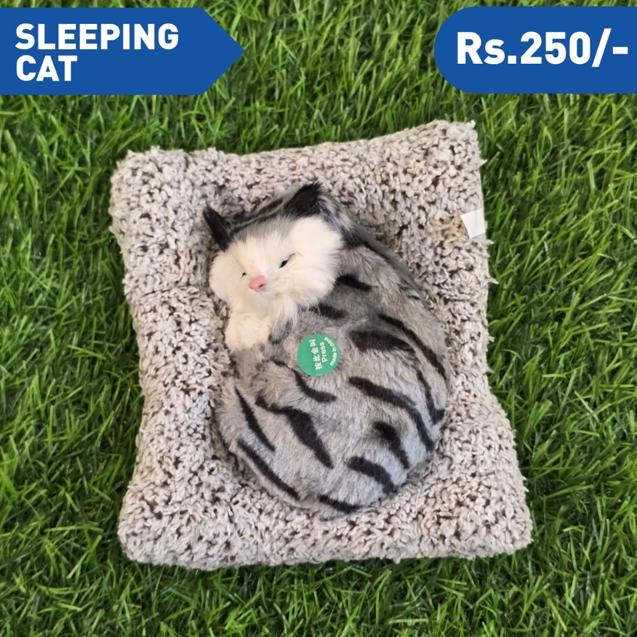 SLEEPING  CAT M4