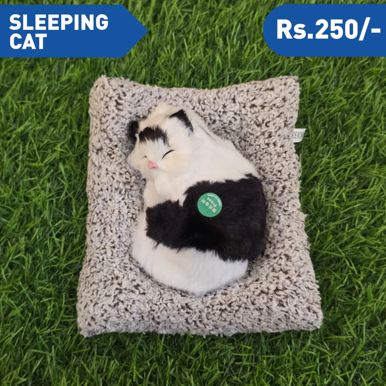 SLEEPING CAT  M1