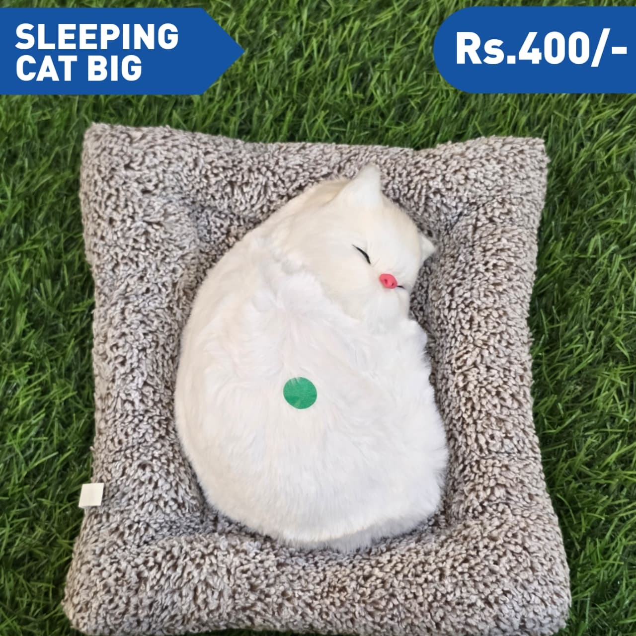 SLEEPING  CAT  BIG M1