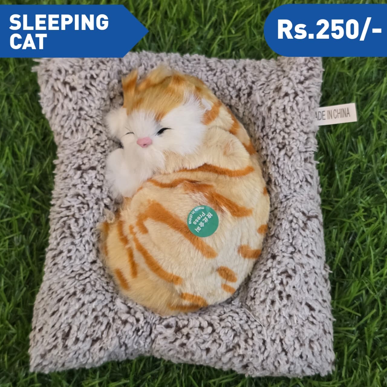 SLEEPING CAT M5